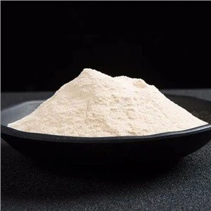 Clostridium Butyricum