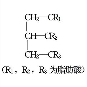 Esteri glicerola limunske i masne kiseline